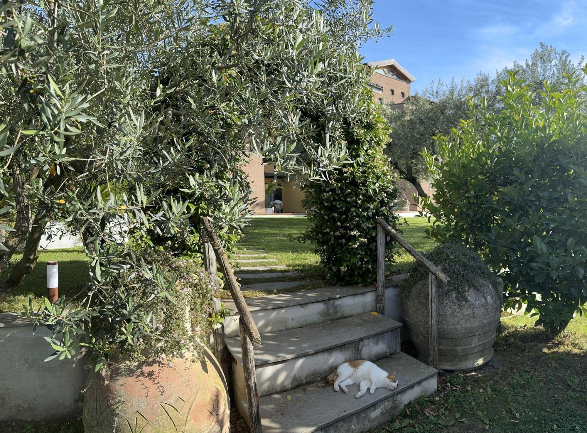 SantʼAntonio Abate Villa C Luxury Estate المظهر الخارجي الصورة